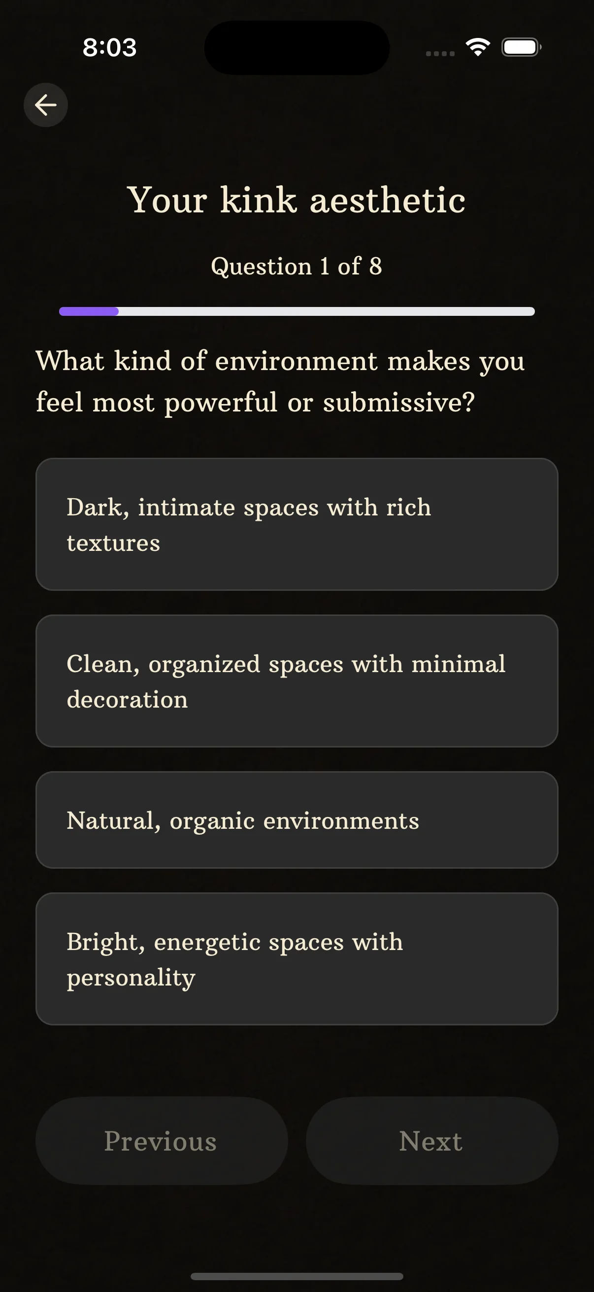 BeMoreKinky App - Quiz Question Interface